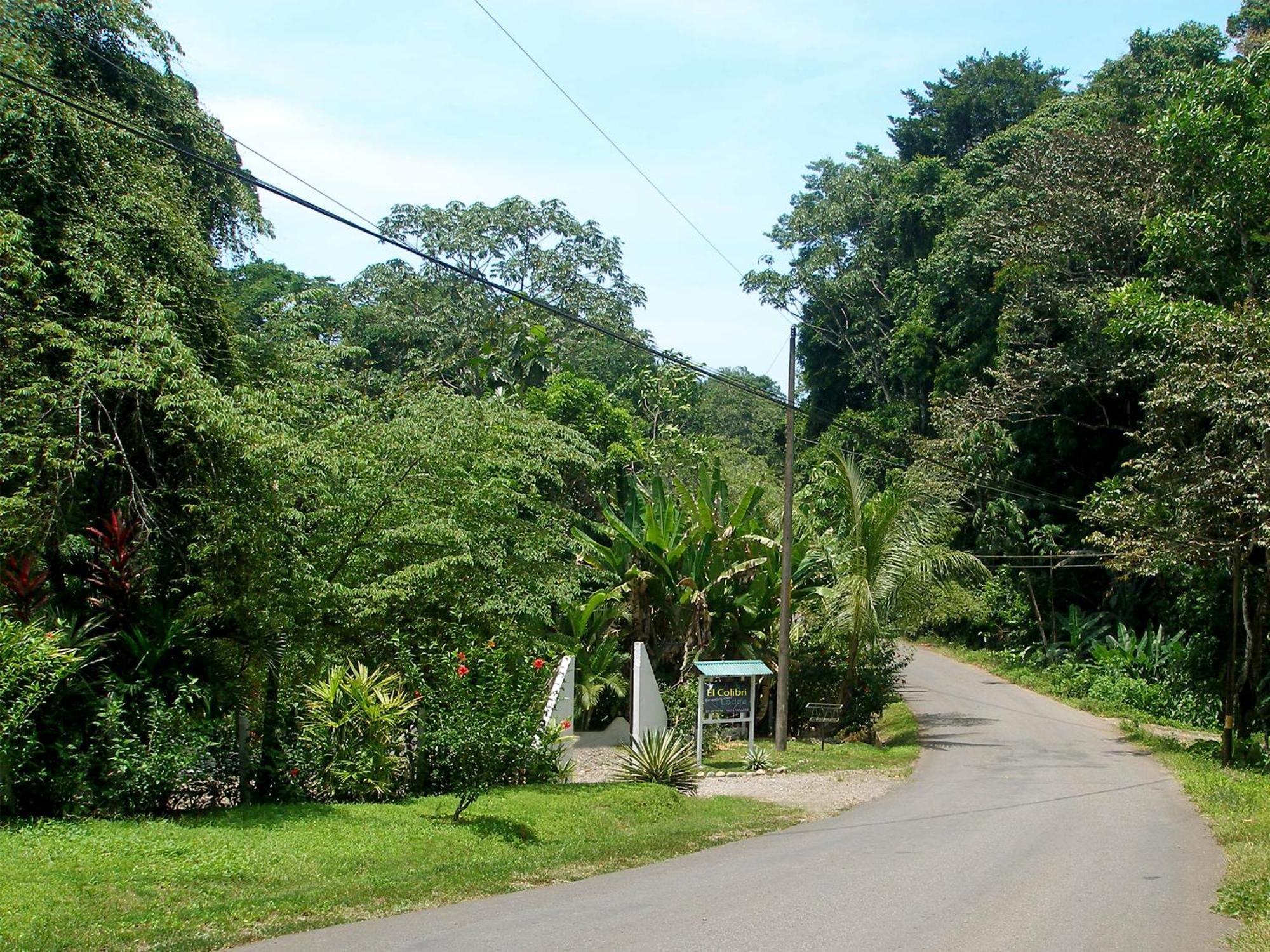 מנסניו El Colibri Lodge מראה חיצוני תמונה
