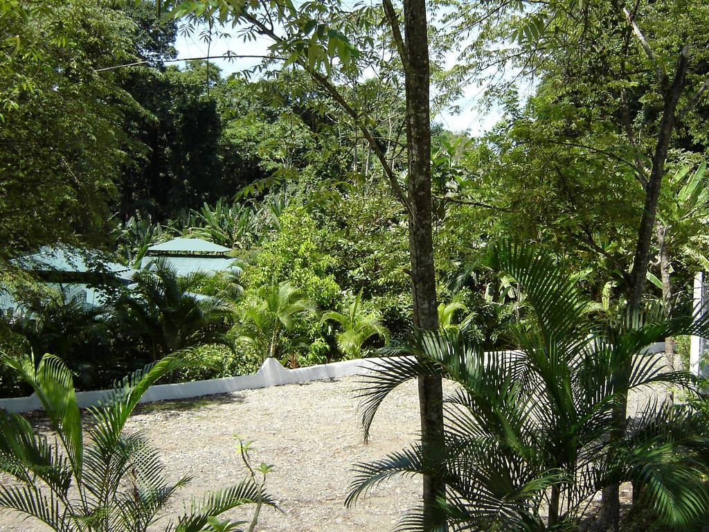 מנסניו El Colibri Lodge מראה חיצוני תמונה