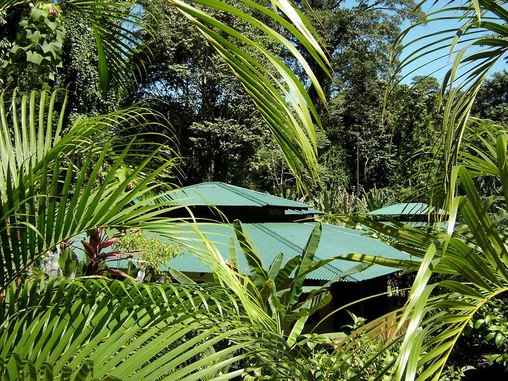 מנסניו El Colibri Lodge מראה חיצוני תמונה