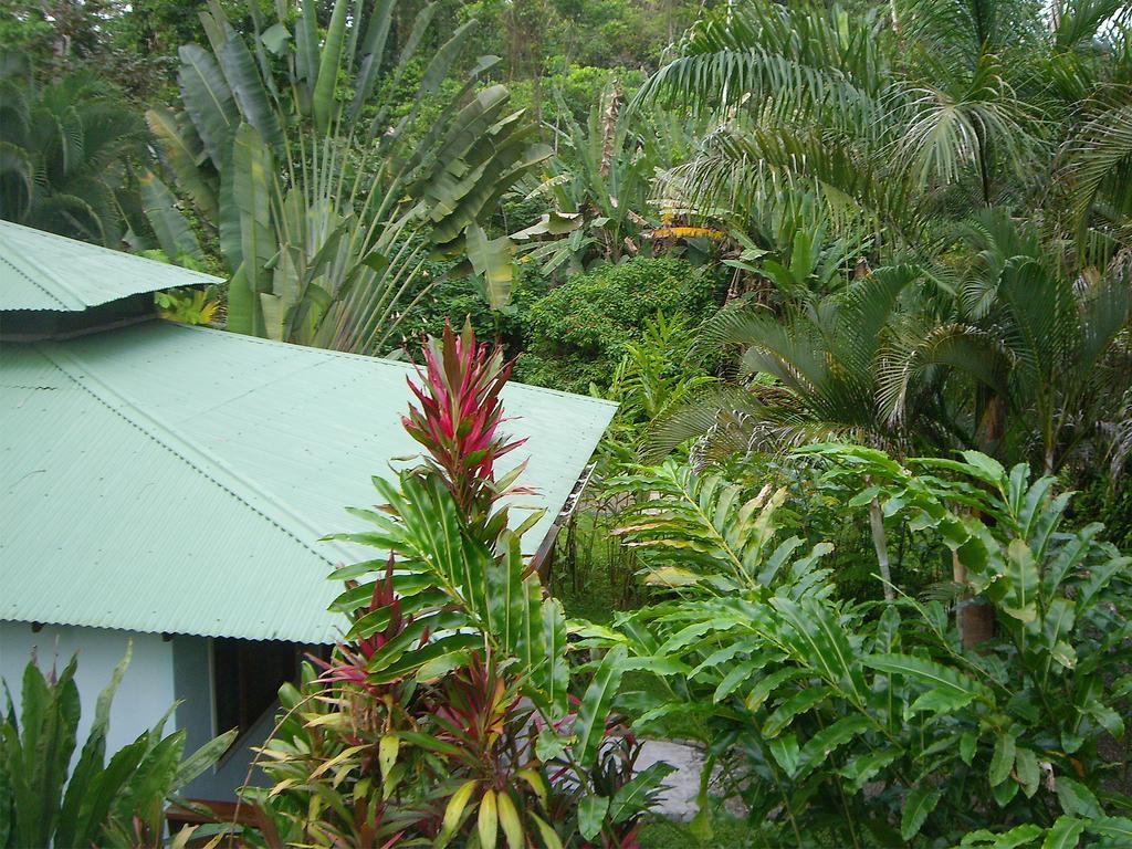 מנסניו El Colibri Lodge מראה חיצוני תמונה